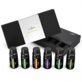Aromatherapy set ulja za osvezivace Anjou AJ-ES001 6 aroma/10ml