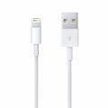 Kucni punjac Teracell Evo IPD1 1A sa iPhone lightning kablom beli
