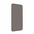 Tempered Glass Privacy 2.5D full glue za iPhone 12 Max Pro 6.7 crna