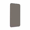 Tempered Glass Privacy 2.5D full glue za iPhone 12/12 Pro 6.1 crna