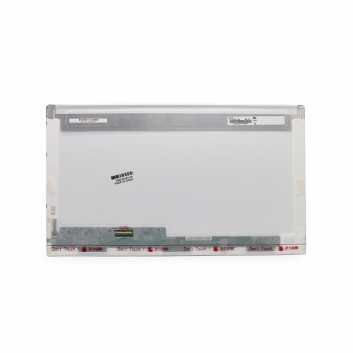 LCD Panel 17.3